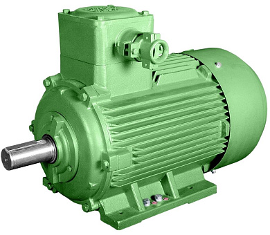 Взрывозащищенный электродвигатель АИМ355M4