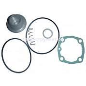 6000180 Ремкомплект всасывающего клапана RH10Е