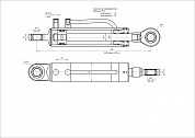 Гидроцилиндр ЦГ-80.40х250.11-01
