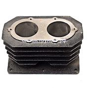 1129100251 (9100020030) Цилиндр D.55 мм