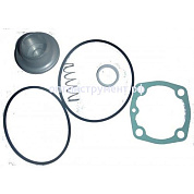 6000280 Ремкомплект всасывающего клапана RH25S