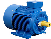Общепромышленный асинхронный электродвигатель АИР 100L4